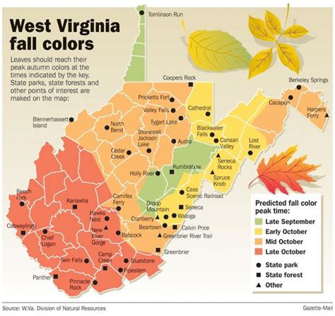 WV Forestry layoffs spark change in fall foliage reports | Outdoor ...