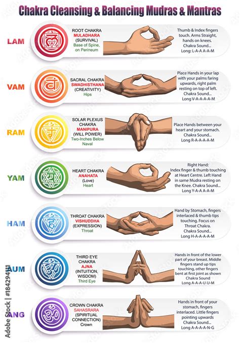 Stockvektorbilden Chakras Mudras & Mantras | Adobe Stock