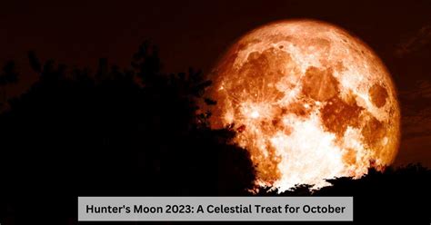 Full Moon in October 2023: Why Is it Called Hunter's Moon?