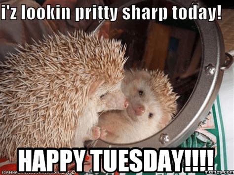 15 Happy Tuesday Memes - Best Funny Tuesday Memes