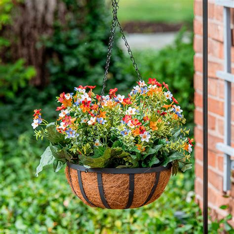 Best Plants for Hanging Baskets - The Home Depot