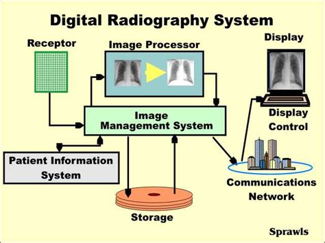 Digital Radiology for the Imaging Professional - KNILT