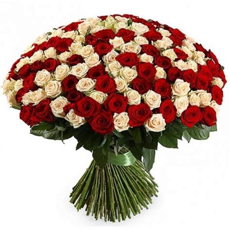 2005 - Impressive bouquet of roses - extra large mix of 50, 100, 200 ...