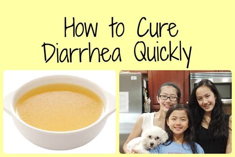 Homemade Dog Food To Treat Diarrhea - Homemade Ftempo