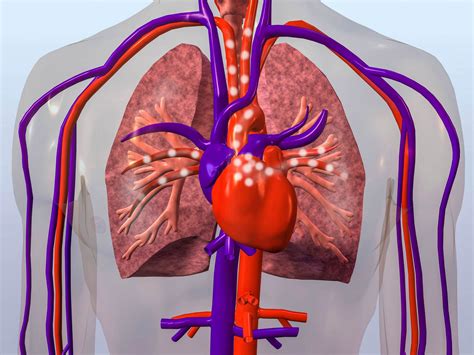 Medical Compass: COVID-19 — A three-pronged approach to strengthen lung ...