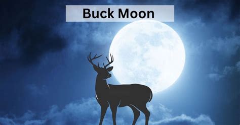 July 2023 Full Moon: What is July’s Buck Moon? Explained Here