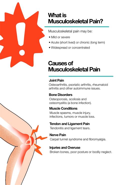 Types of Musculoskeletal Pain And How to Tackle Their Treatment – The ...