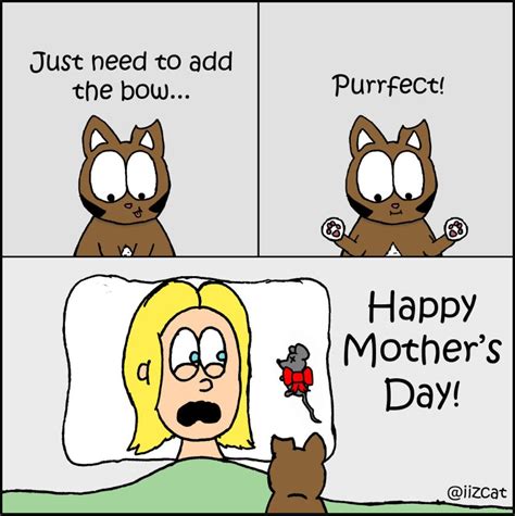 A Very Happy Mother's Day From The Cat