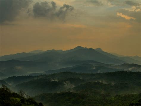 Bangalore To Pushpagiri Wildlife Sanctuary In Coorg - Nativeplanet