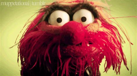 Someone said we needed a Muppet thread - Page 5 — MyFitnessPal.com