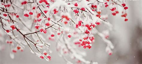 20 Facebook Covers That Will Make Your Winter Stunning | Inspiration