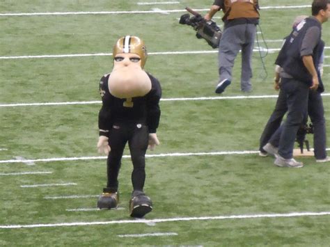 Sir Saint New Orleans Saints Mascot | Rod | Flickr