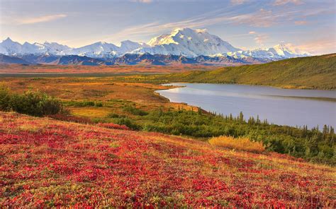 Denali National Park wallpaper | 1920x1200 | #83704