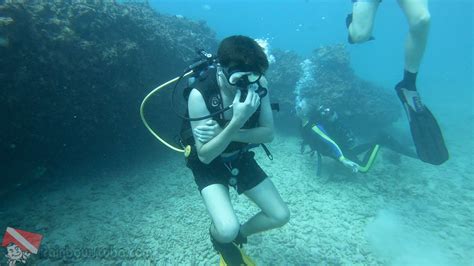 Scuba Diving In Oahu: A Guide To The Best Dive Sites And Operators ...