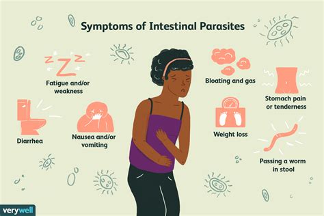 5 Natural Remedies for Intestinal Parasites