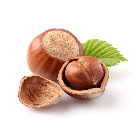 Hazelnut Oil - PureNature NZ