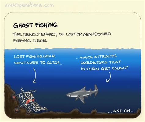 Ghost fishing - Sketchplanations