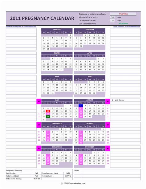 Pregnancy Calendar – Excel Calendars