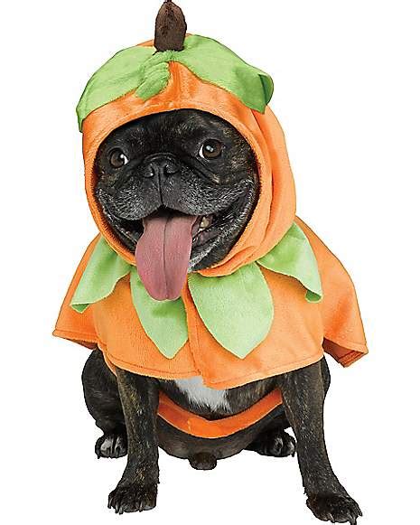 Pumpkin Pet Costume - Spirithalloween.com