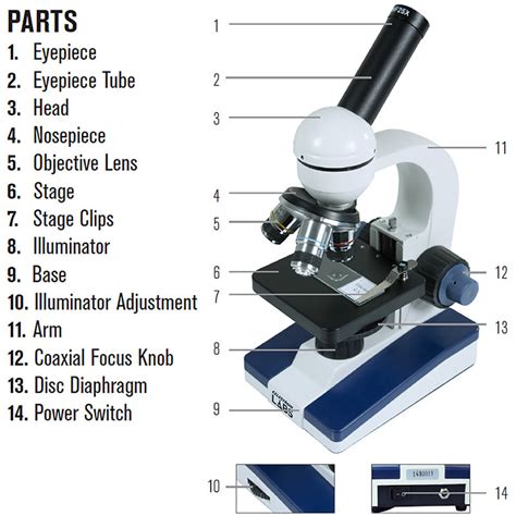 Celestron Labs Compound Microscope CM1000C