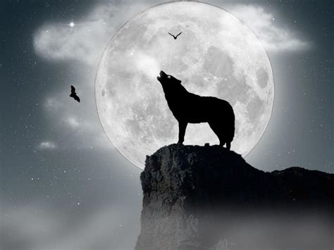 Wolf Howling At The Moon Wallpapers - Wallpaper Cave