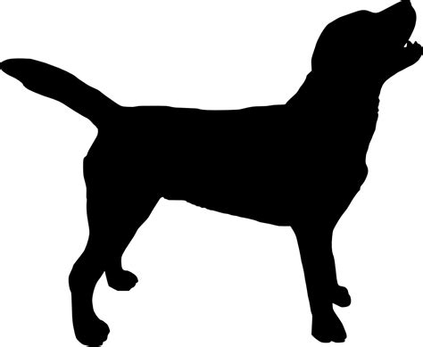 Free Download - Dog Silhouette Transparent Background (1000x822), Png ...