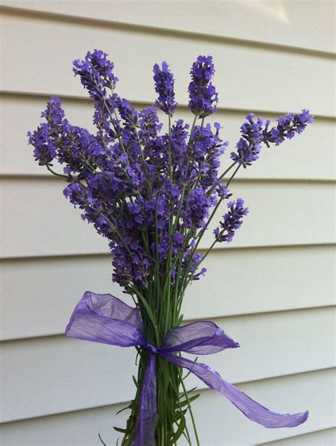 Fresh lavender bouquet…who wouldn't love to get one of these ...