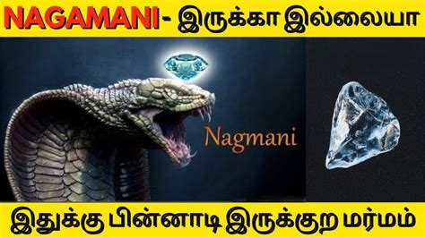 Nagamani | Snake Stone Is Real | It's Mystery | In Tamil | - YouTube