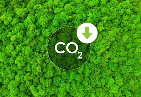 Top 10 Tips to Reduce Your Carbon Footprint for 2022 and beyond - Galooli