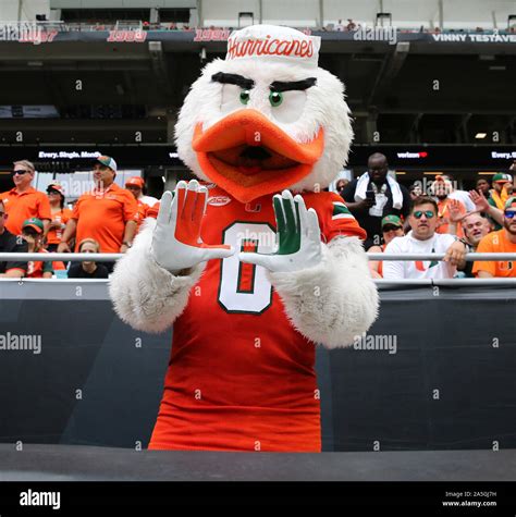 October 19, 2019: Sebastian the Ibis, the official mascot for the ...