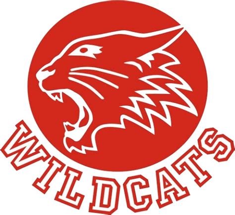 "Wildcats (High School Musical)" Stickers by Karen Cho | Redbubble