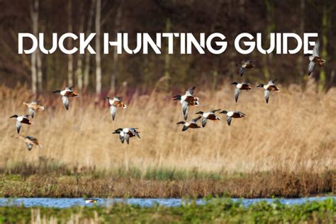 Duck Hunting Guide - Wideners Shooting, Hunting & Gun Blog