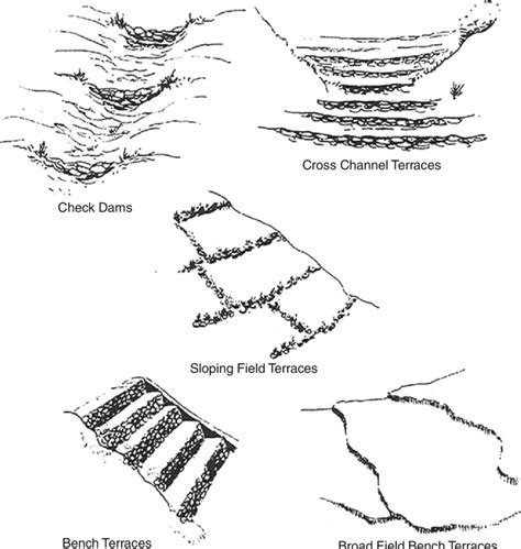 Five types of terracing (From Denevan (2001)) | Download Scientific Diagram