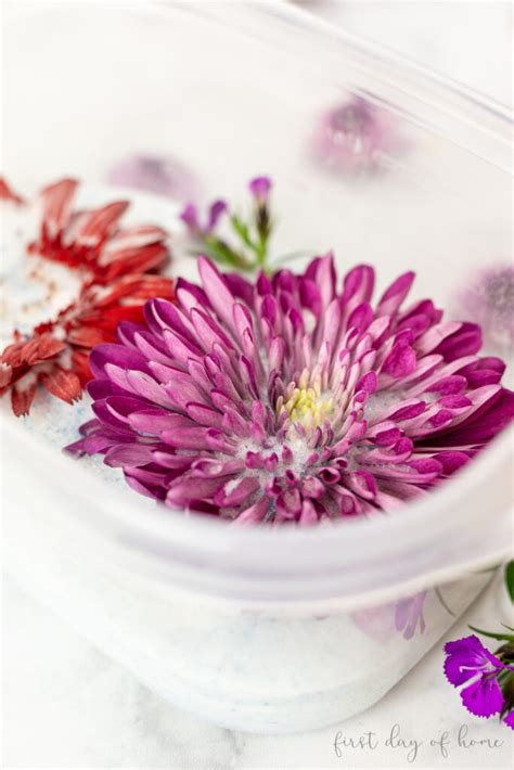 How to Use Silica Gel for Drying Flowers: Complete Guide