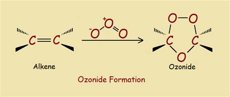 Organic Ozonides - How They Form, How They React - Quirky Science ...