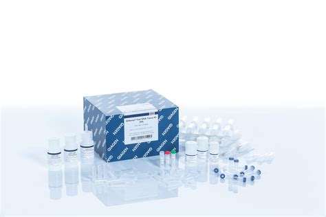 DNA | DNA Extraction and Purification Kits | QIAGEN