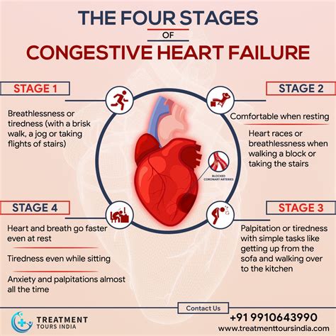 Congestive Heart Failure doesn’t happen in a day; it takes many months ...