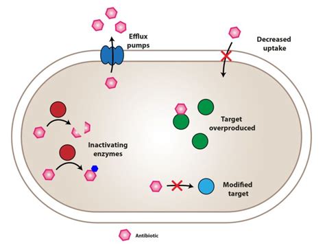 Mechanisms of resistance