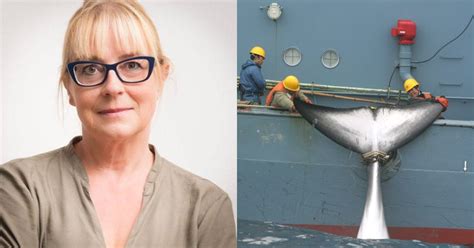 Commercial Whaling Is Thriving, Countries That Oppose It Don't Get Any ...