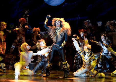 Cats the Musical review: A campy theatrical spectacle | Honeycombers