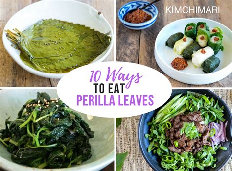 How to eat Perilla - 10 ways to enjoy them in Korean cooking! | Kimchimari