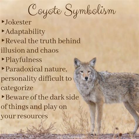 Coyote Spirit Animal | Totem Meaning | Spirit animal totem, Spirit ...