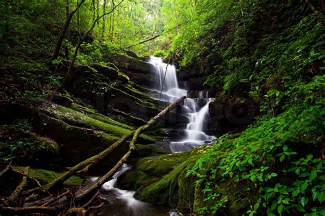 Deep forest Waterfall | Stock image | Colourbox