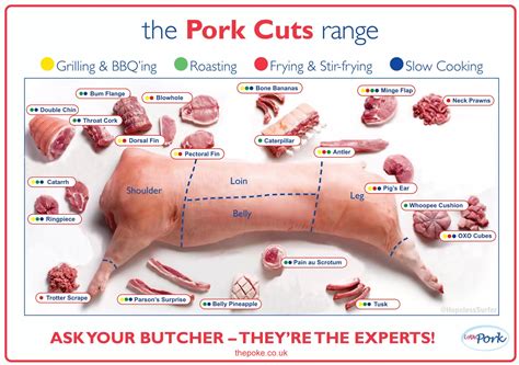 Printable Pork Cuts Chart - Printable Word Searches