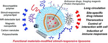 Development of functional liposomes by modification of stimuli ...