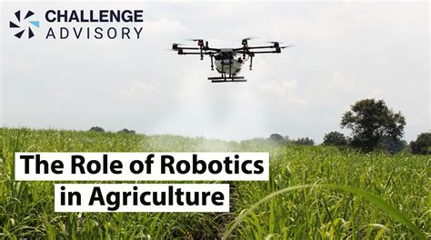 The Role of Robotics in Agriculture - Challenge Advisory