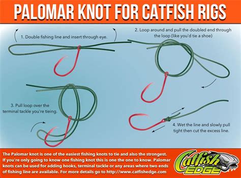 Four Fishing Knots Every Catfish Angler Should Know