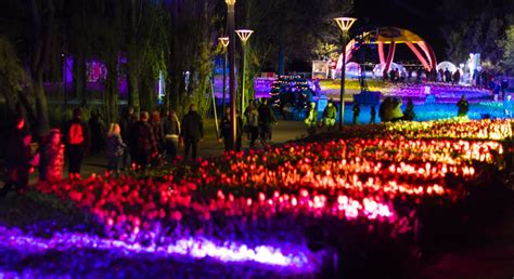 Floriade NightFest 2024 | Local Events | Novotel Canberra