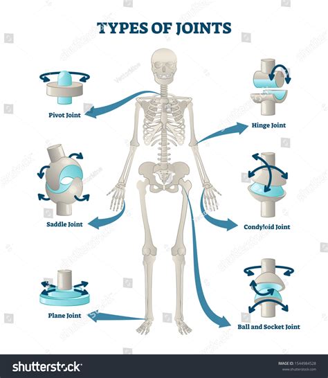 Mechanical Pivot Joint Examples