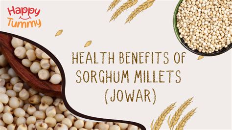 Sorghum Millets (Jowar): Benefits, Nutrition, Uses & Side Effects ...